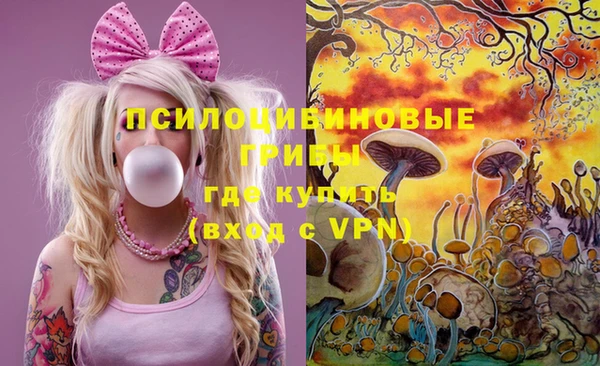 соль курить ск Лабытнанги