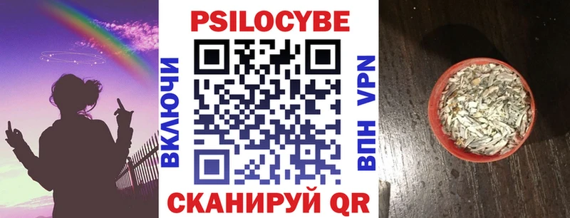 Галлюциногенные грибы MAGIC MUSHROOMS  Купить  Приволжск 