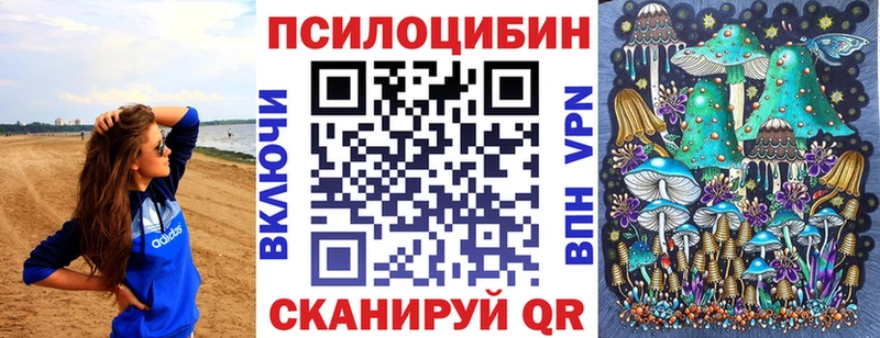 Псилоцибиновые грибы Psilocybe Приволжск