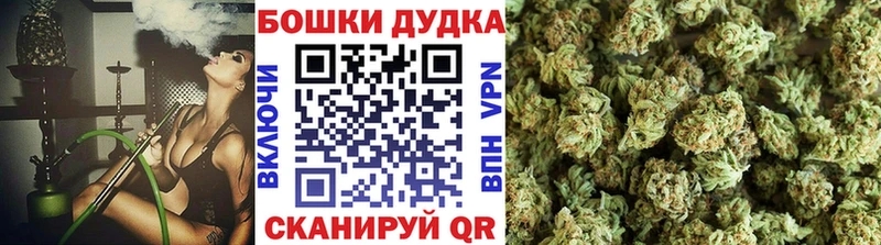 Купить где  Приволжск  Каннабис Amnesia 